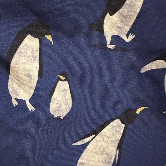 Trunks Surf and Swim Co Penguin Men’s M - Swimming Trunks- Like New - Picture 4 of 5